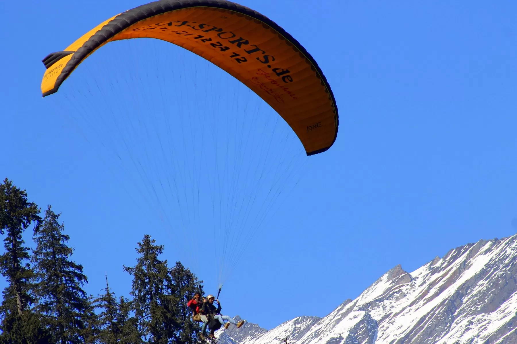 Paragliding in Manali