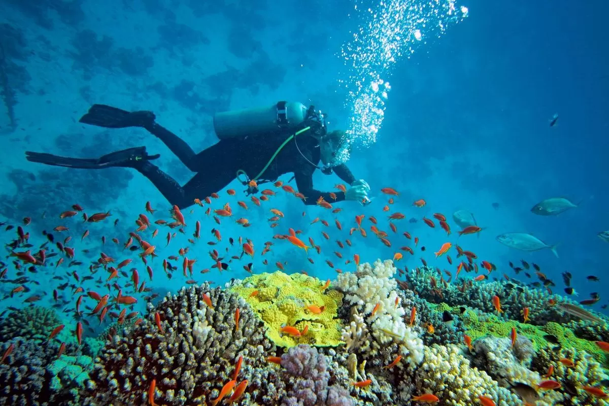 Scuba Diving in Andaman
