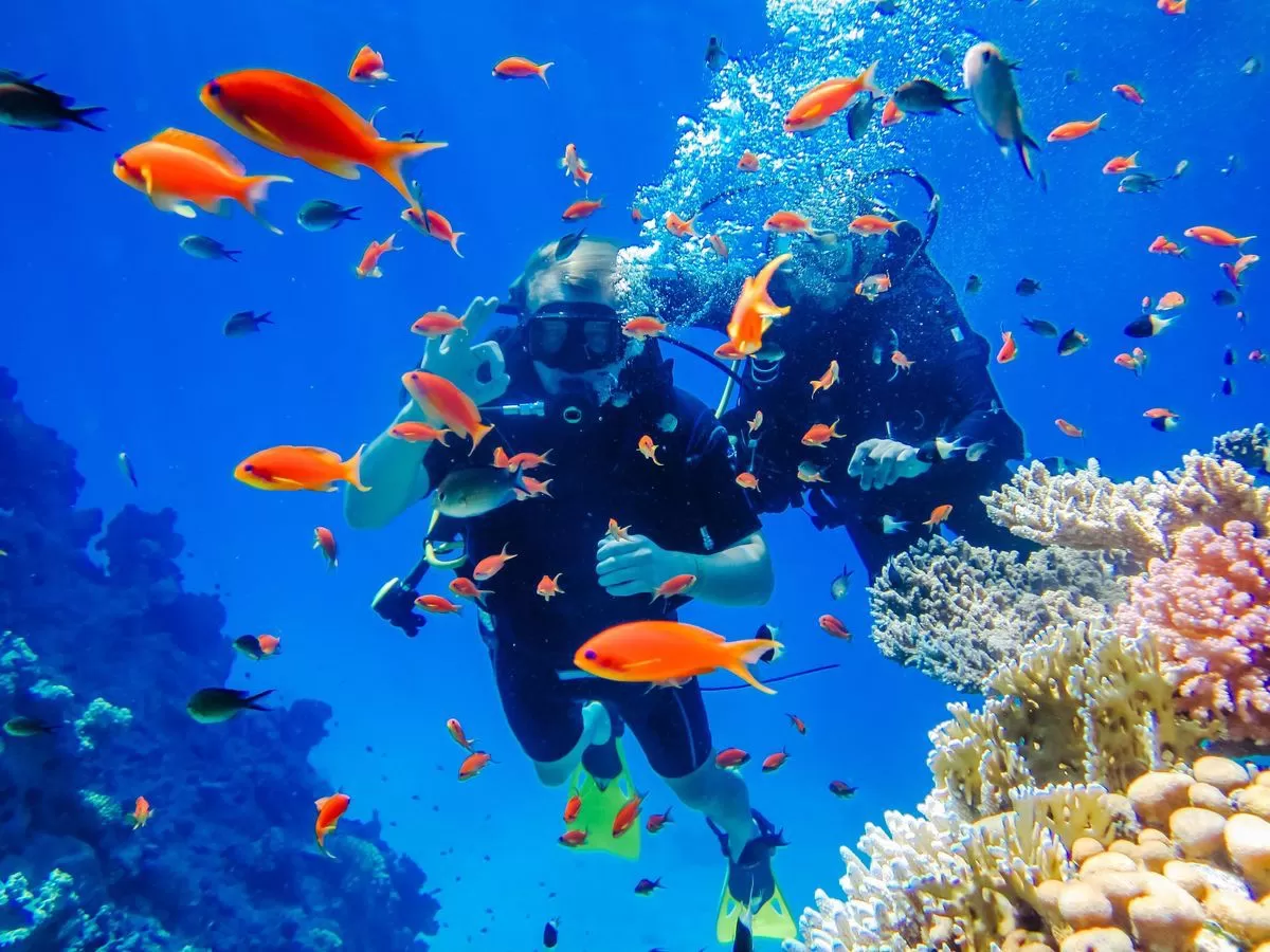 Scuba Diving in Andaman