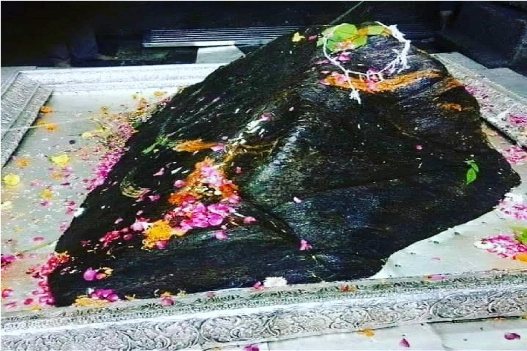 Dodham Kedarnath Badrinath Yatra from Delhi 7 Nights 8 Days