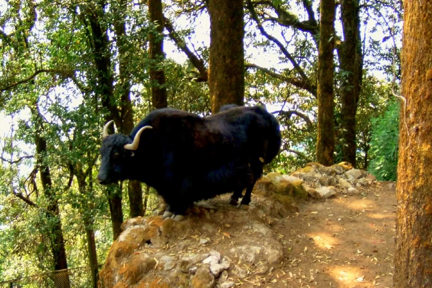 Weekend Trip to Gangtok 2 Nights 3 Days