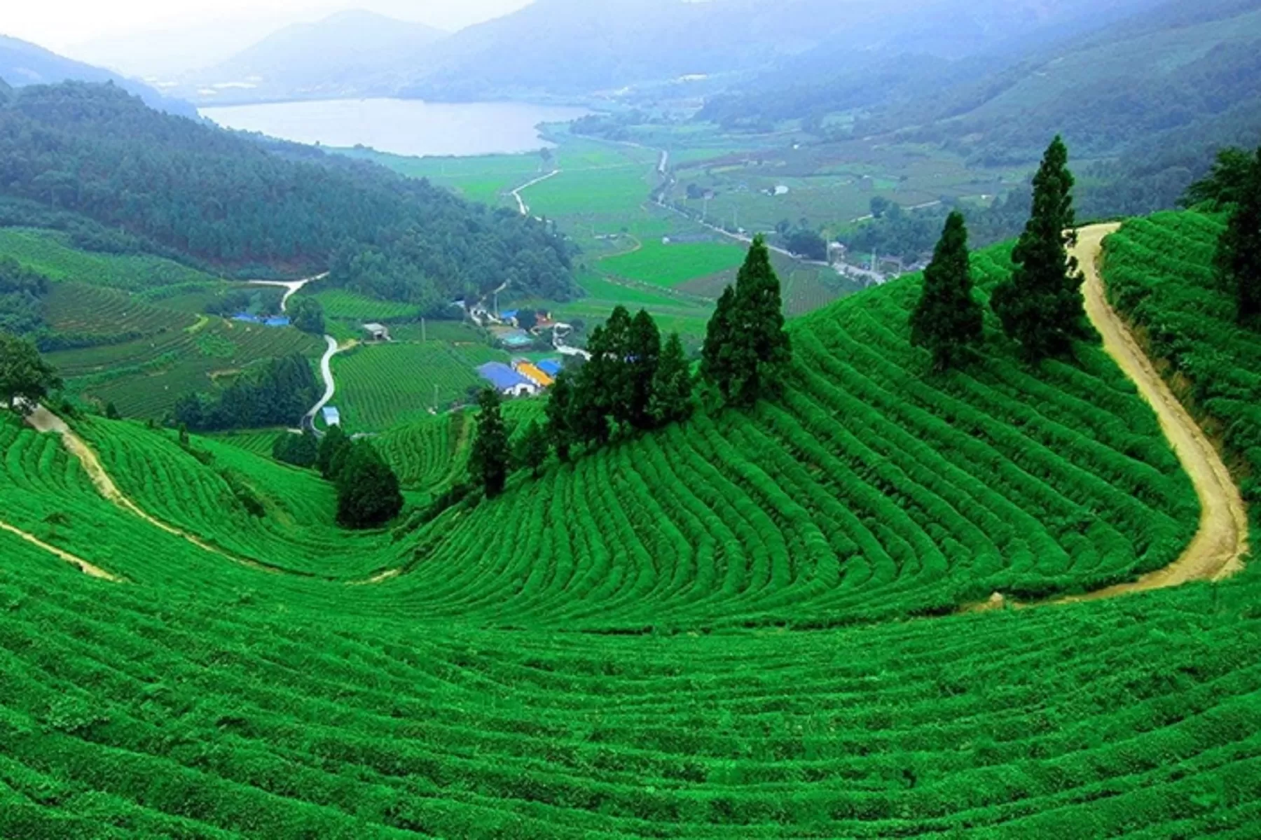 Kochi Munnar Tour Package 3 Night 4 Days