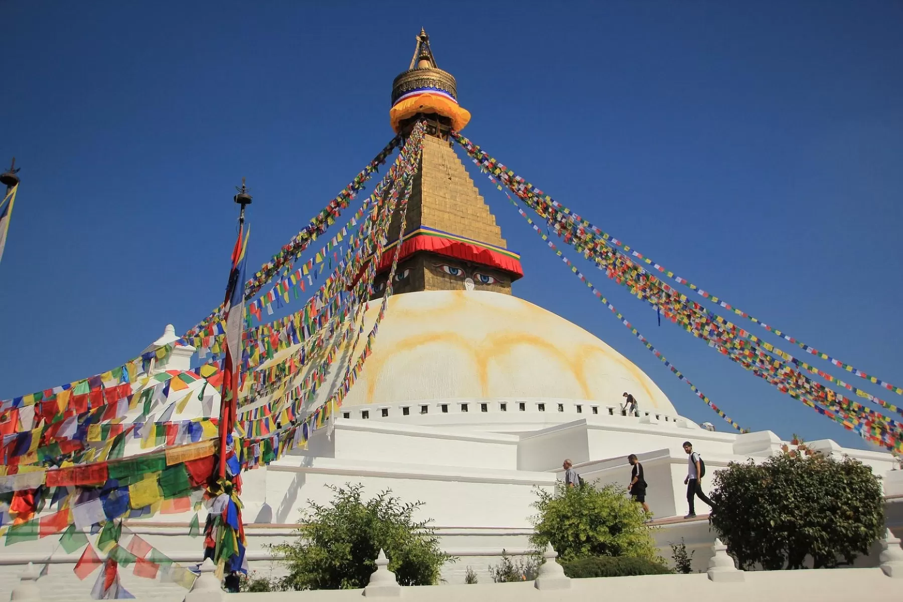 Kathmandu Nagarkot Pokhara Chitwan Tour Package 7 Nights 8 Days