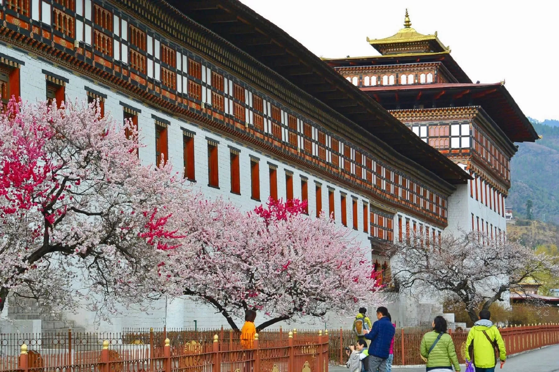 Bhutan Short Escape Tour Package 4 nights 5 Days