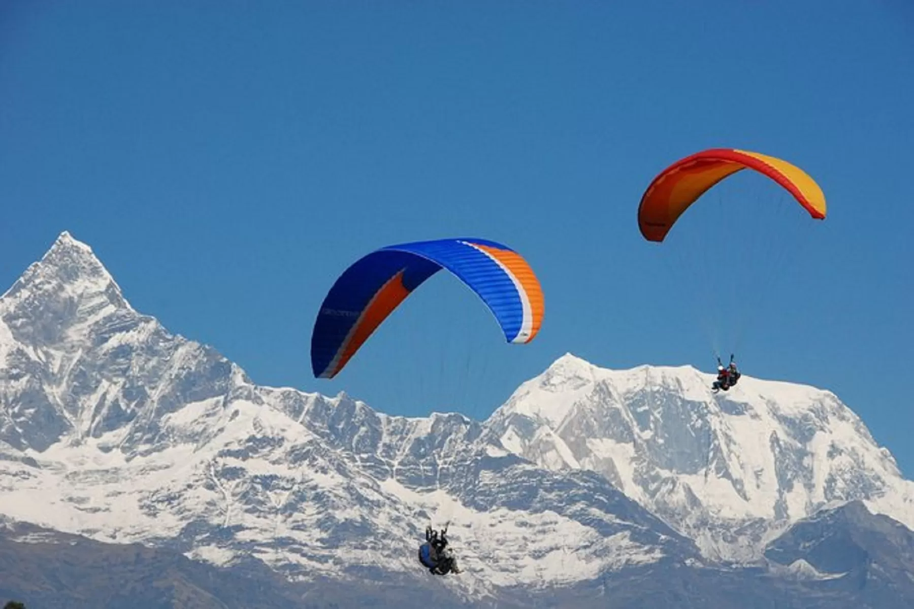 Paragliding in Rishikesh