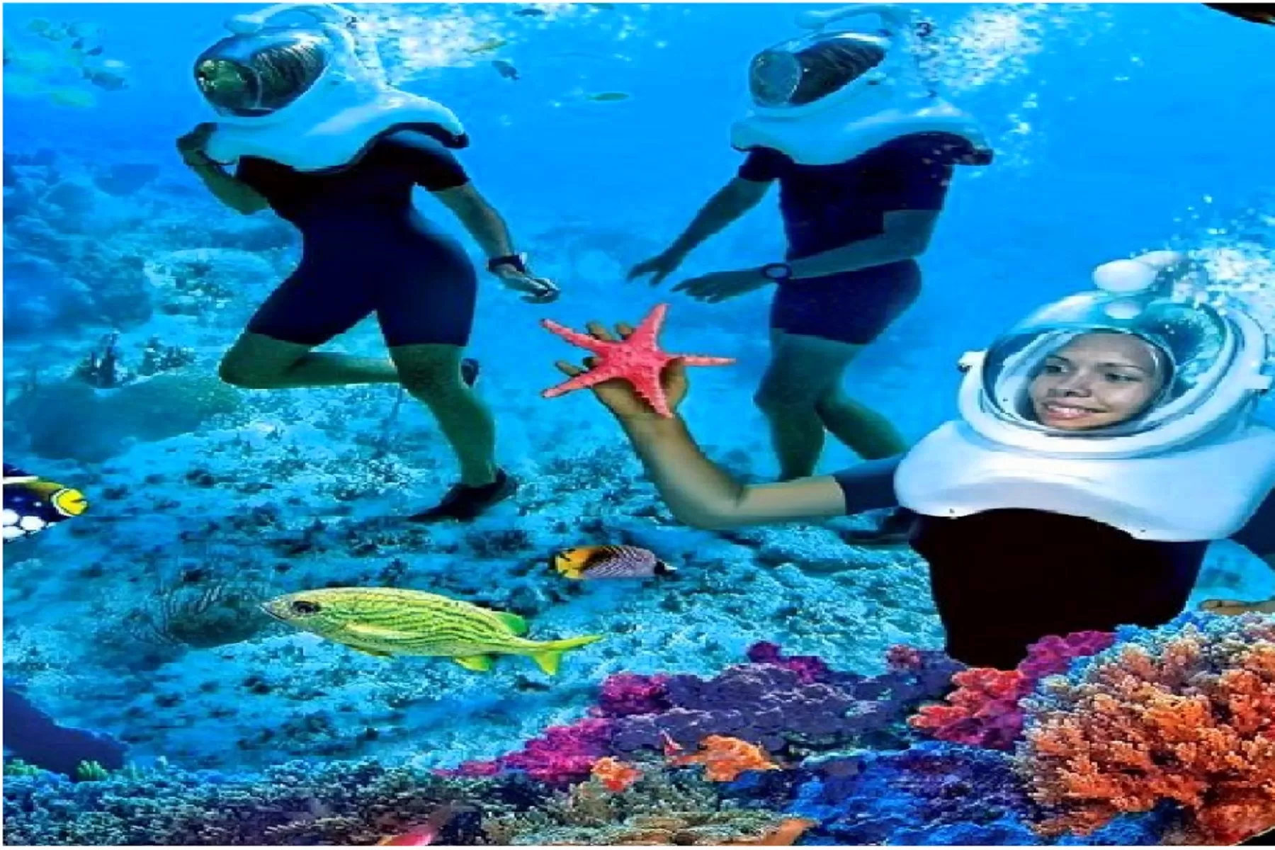 Under Water Sea Walk 