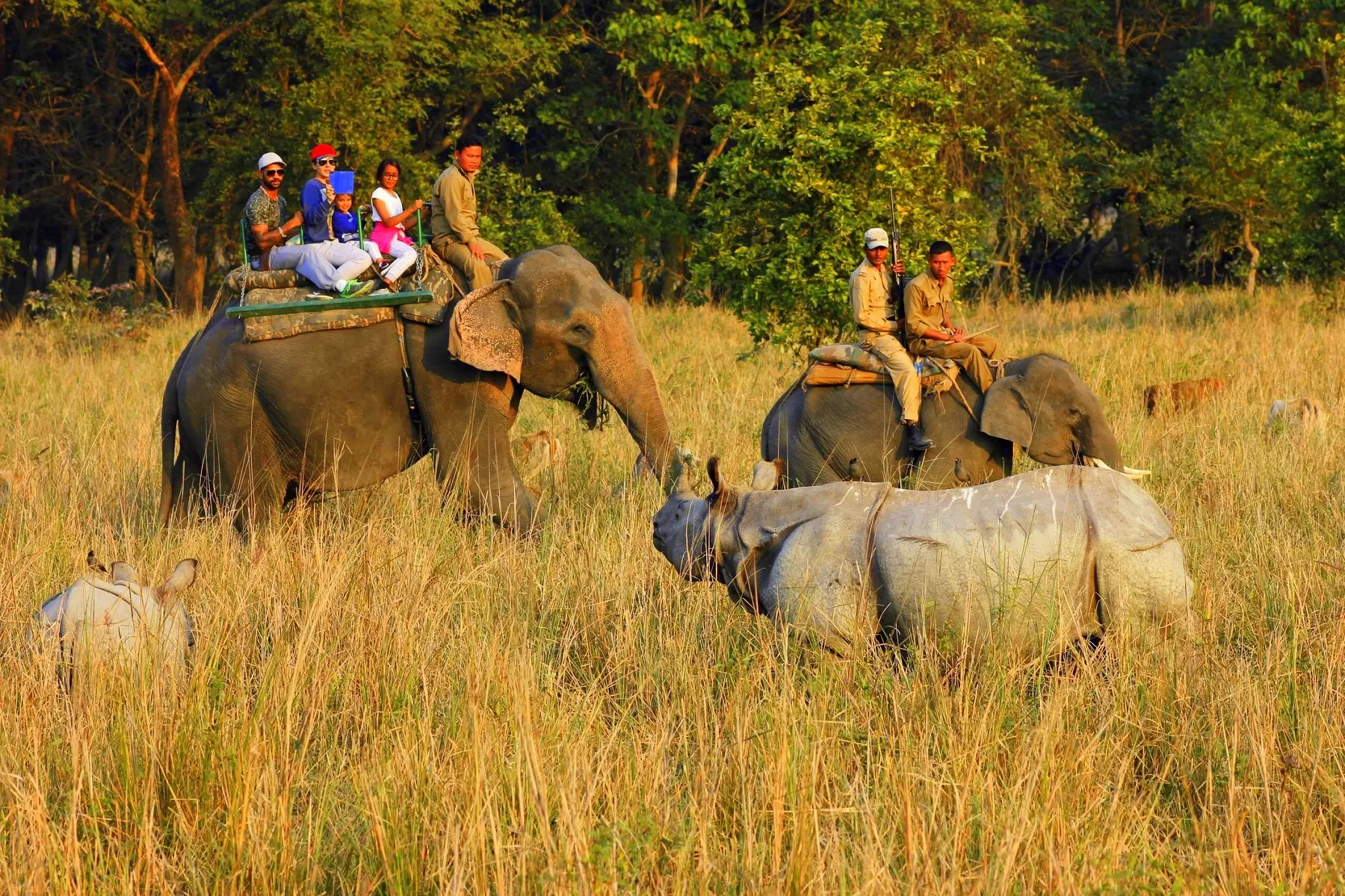 Weekend Trip to Jim Corbett National Park 2 nights 3 days 