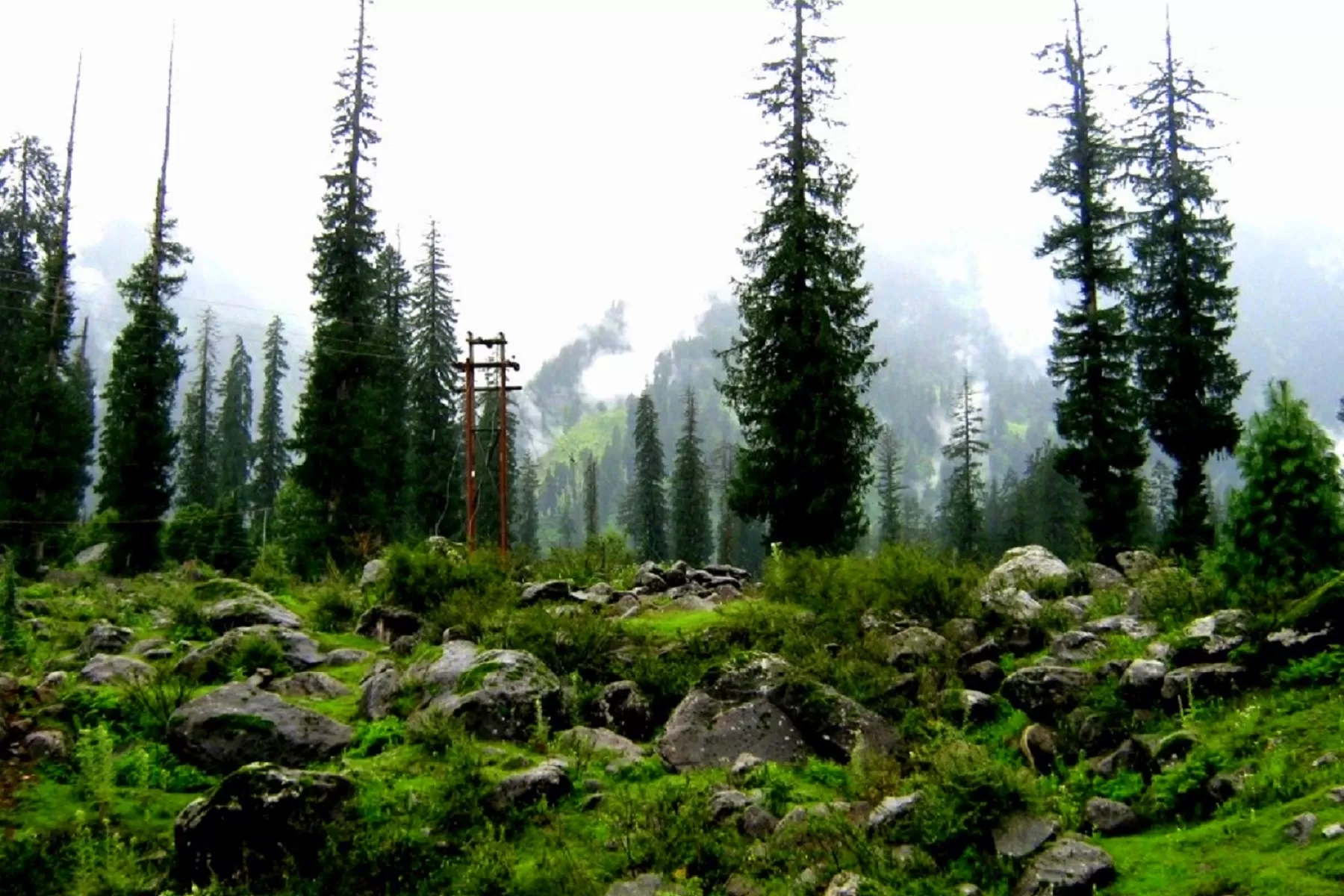 Manali Honeymoon Package by Volvo Bus