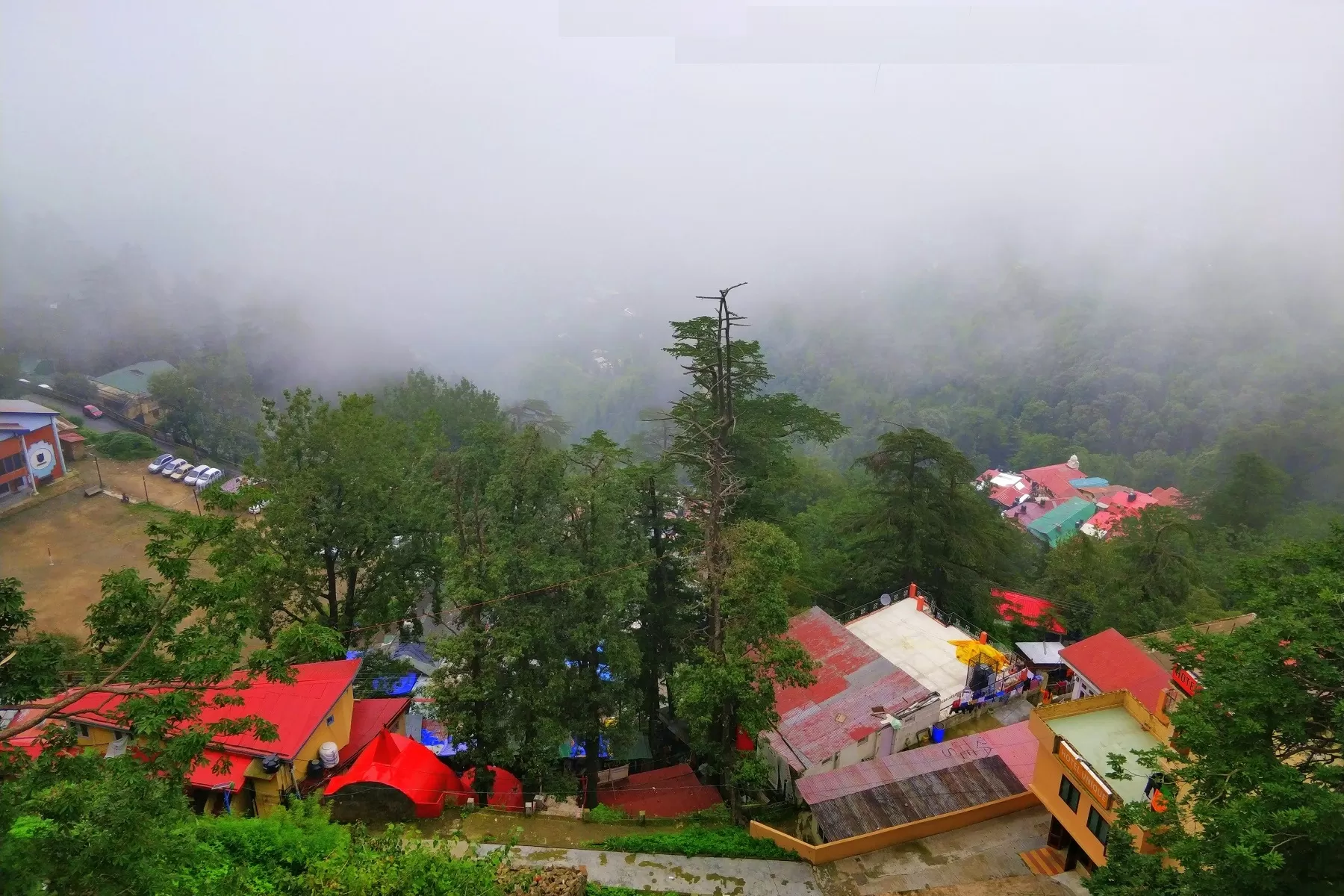 Shimla