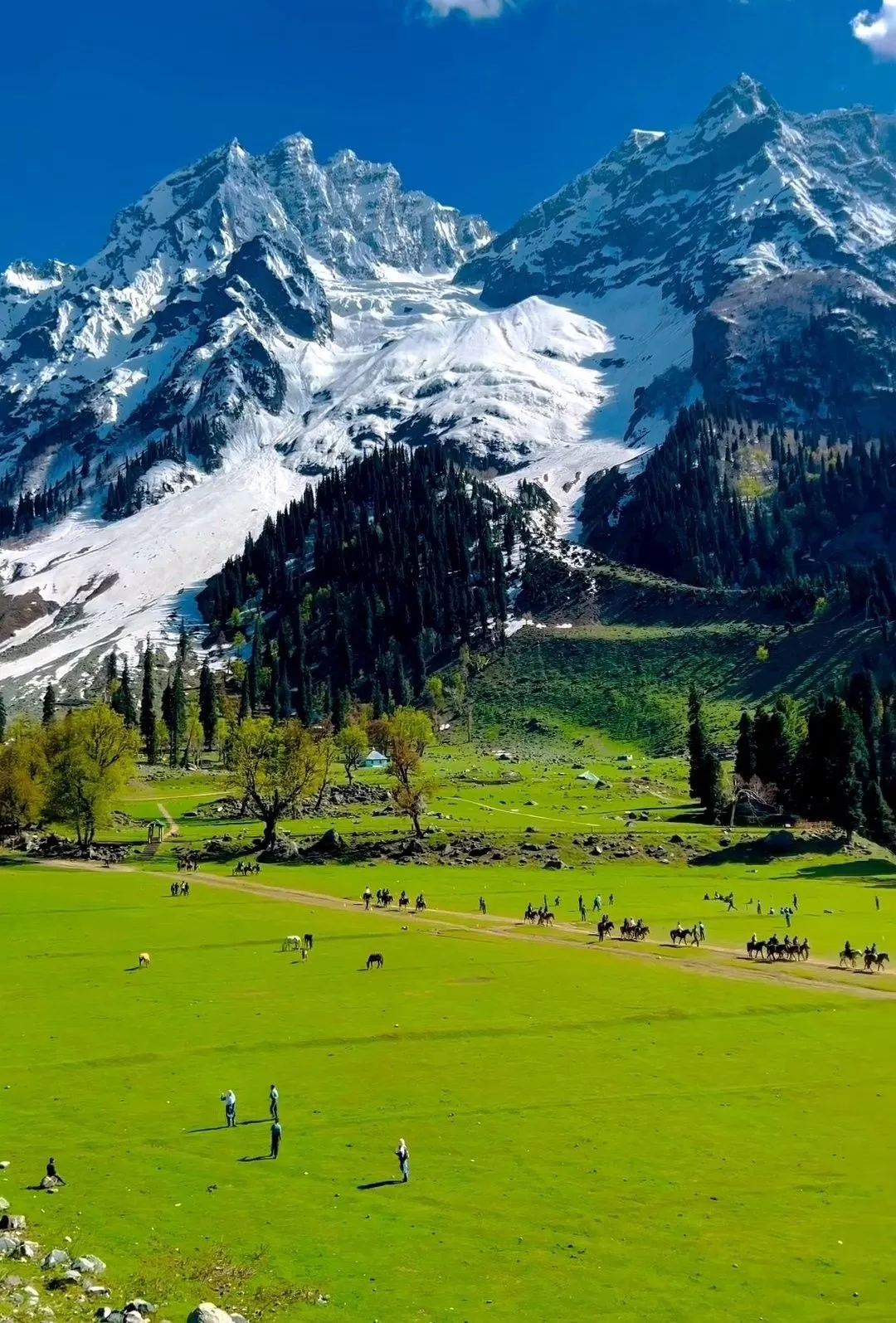 Nature of Kashmir Tour Package 