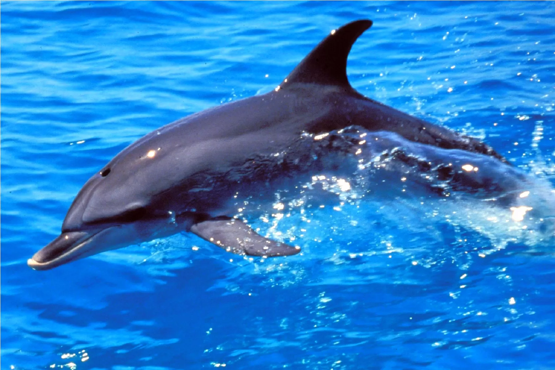 Bhubaneswar-Puri-Cuttack Tour