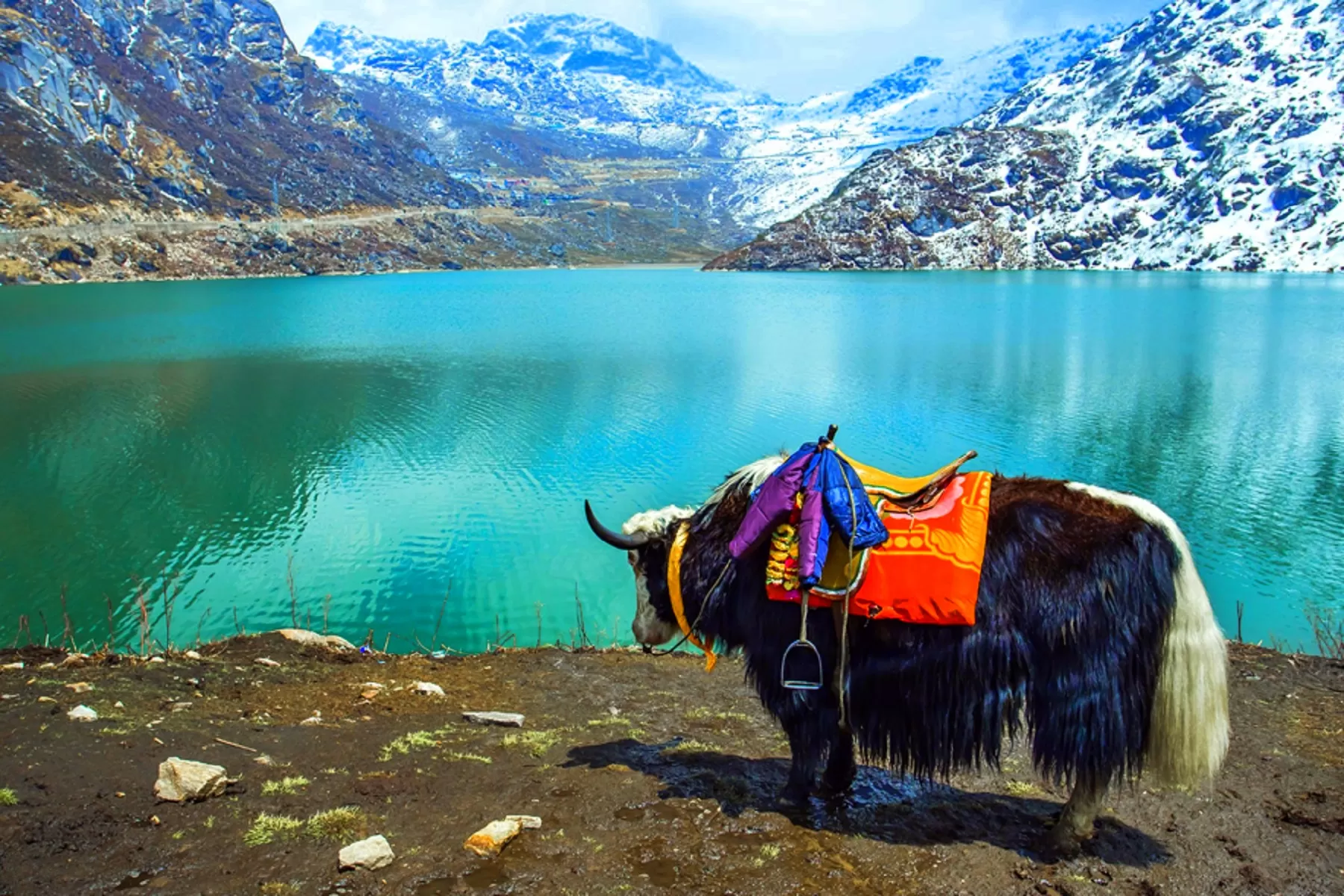 Gangtok-Darjeeling Honeymoon Package