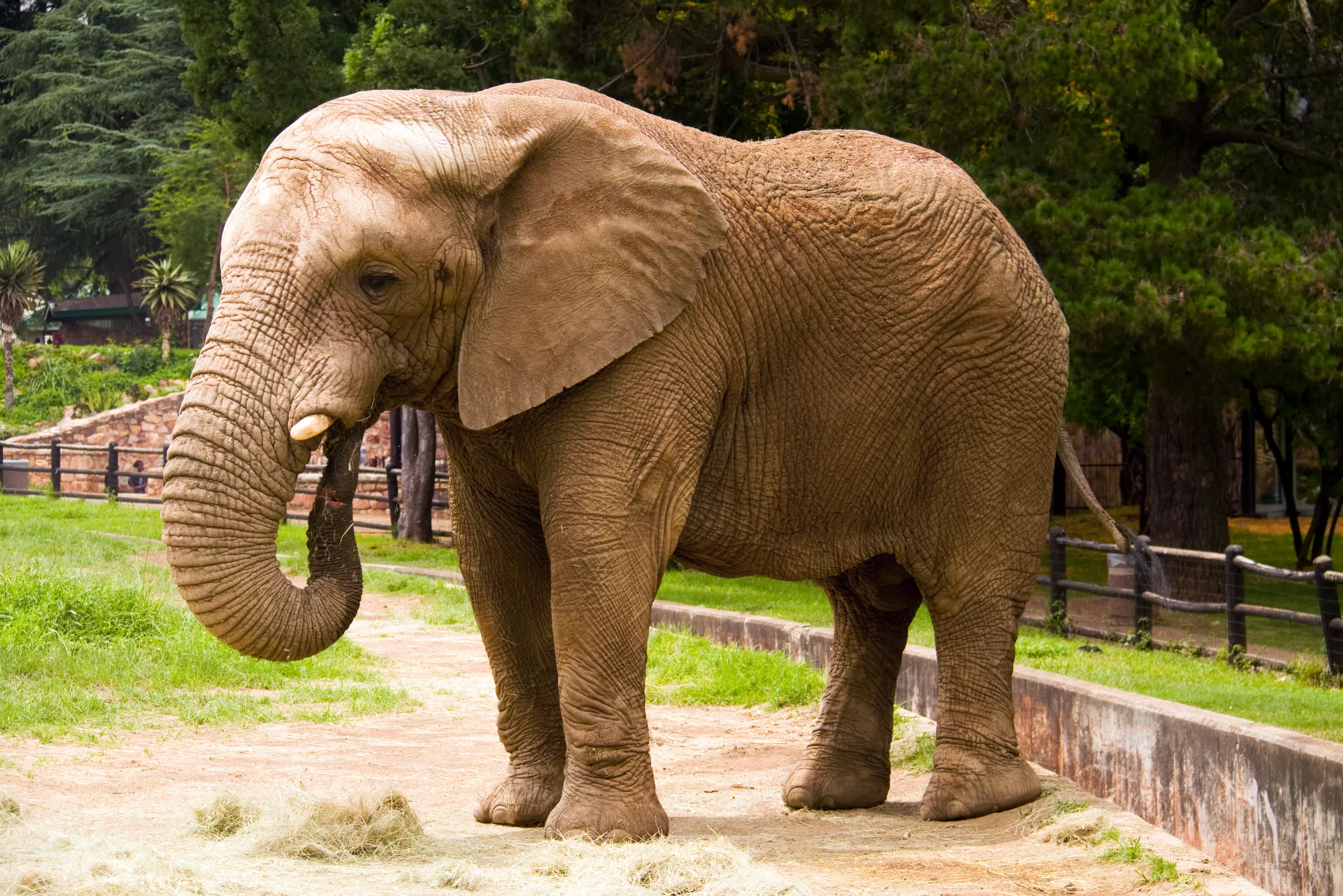 Guwahati Pobitara Kaziranga Shillong Jowai Shnongpdeng Cherrapunji 8 Night 9 