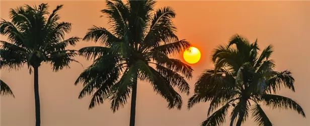 Enchanting Kerala Leisure Tour Package